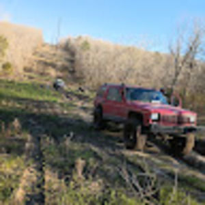 Meet your Posher, Barbara